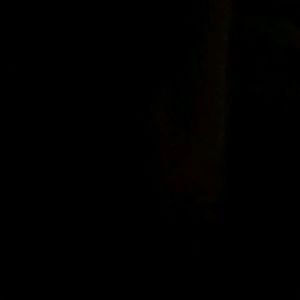 Meet your Posher, Regan